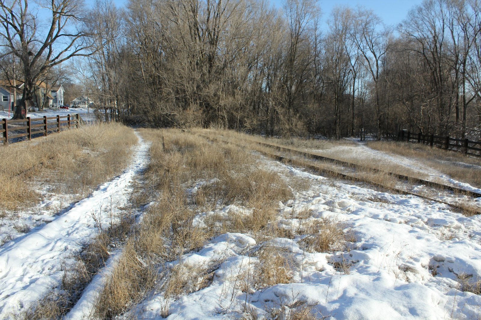 Looking north